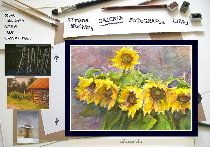 Galeria - Piotr Trzebi�ski